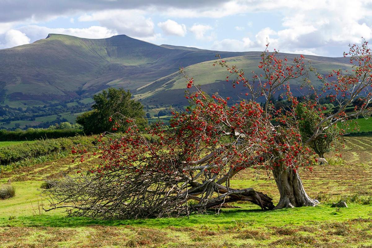 Picturesque 2 Bedroom Miners Cottage Near Bike Park Wales & Brecon Beacons Merthyr Tydfil Eksteriør billede